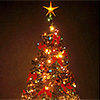 Festive Specials